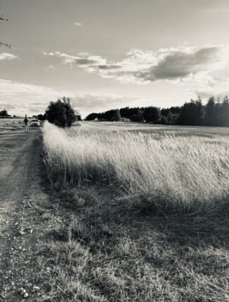Fotka Náš sen 🏡